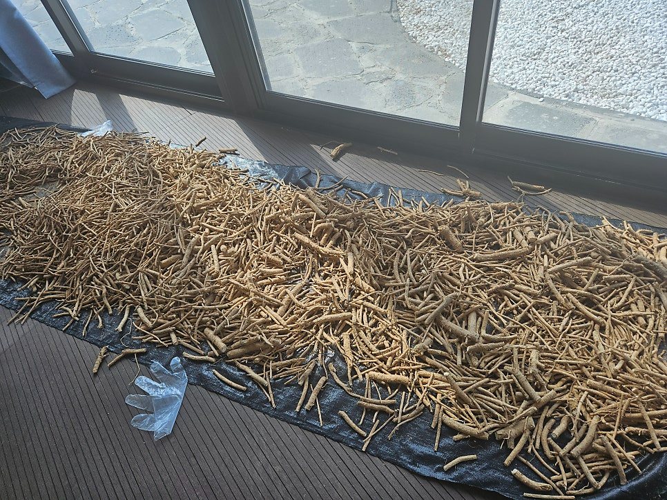 말려서(큐어링) 보내서
